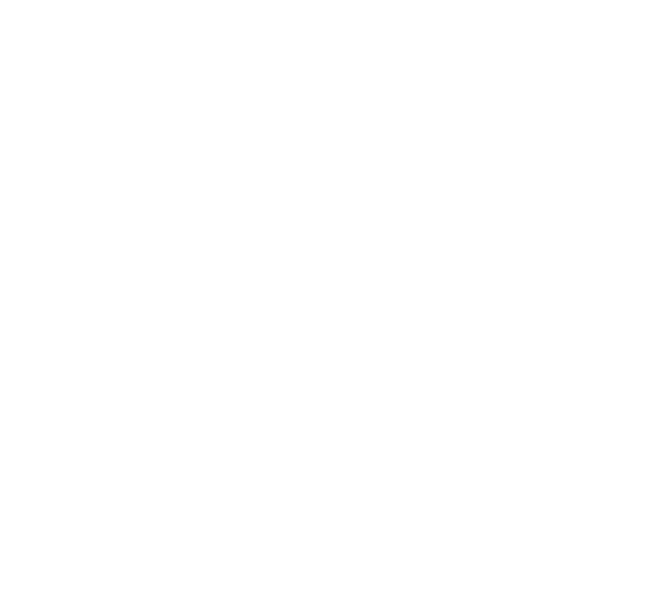 Chambers 2023 Litigation Support